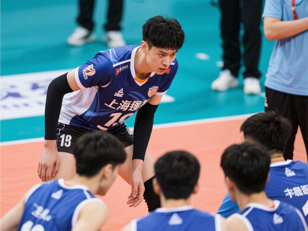 年的冰岛队 年的冰岛队